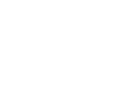 TIM Logo